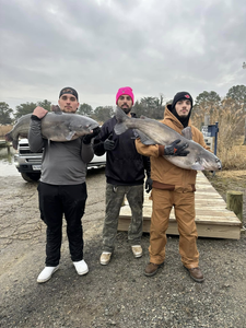 Catch the biggest Catfish on James River!